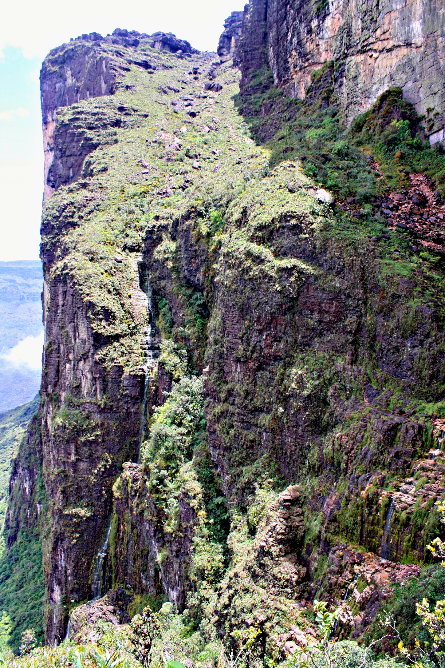 The Trail of Tears, Mount Roraima