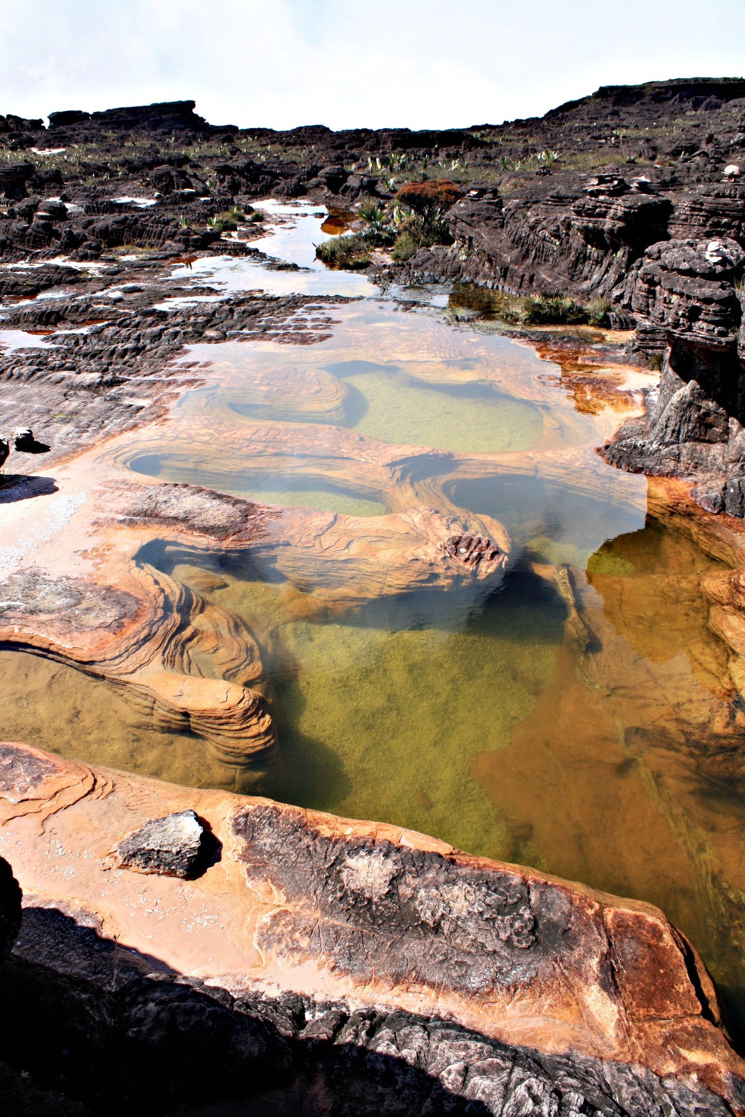 Crystal pools on Mount Roraima, Venezuela