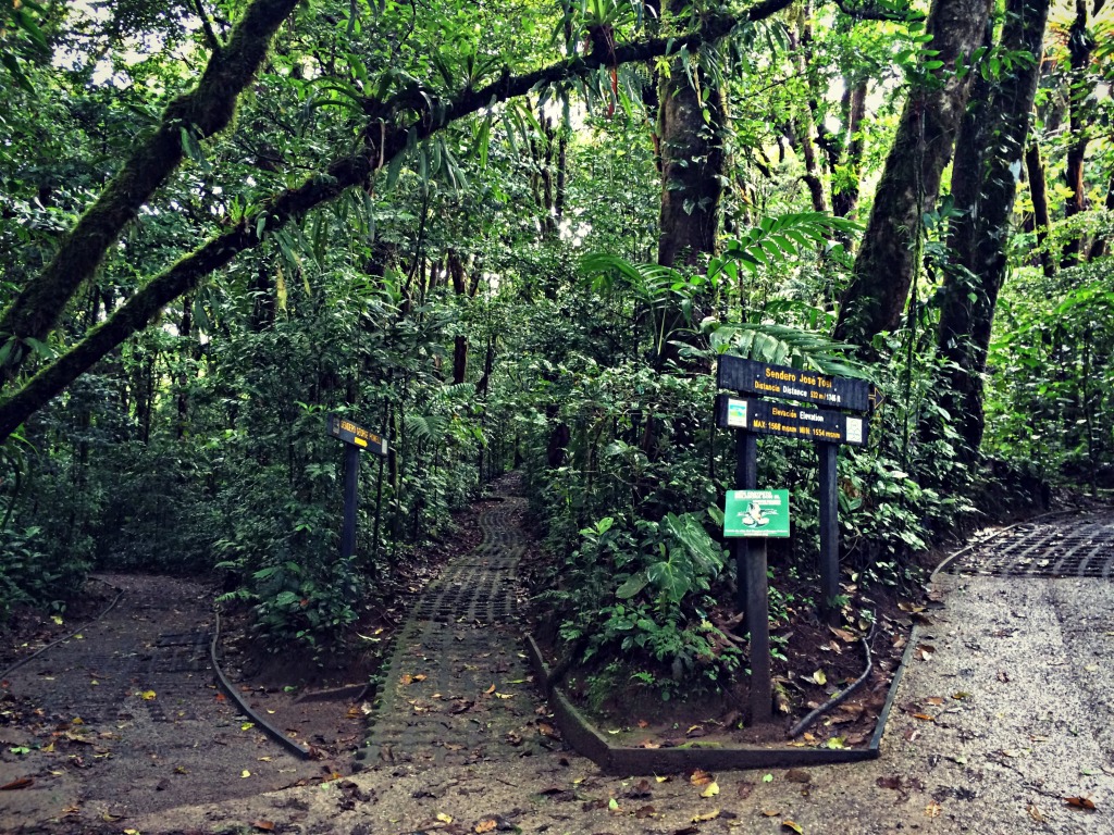 Monteverde Cloud Forest Reserve, Costa Rica