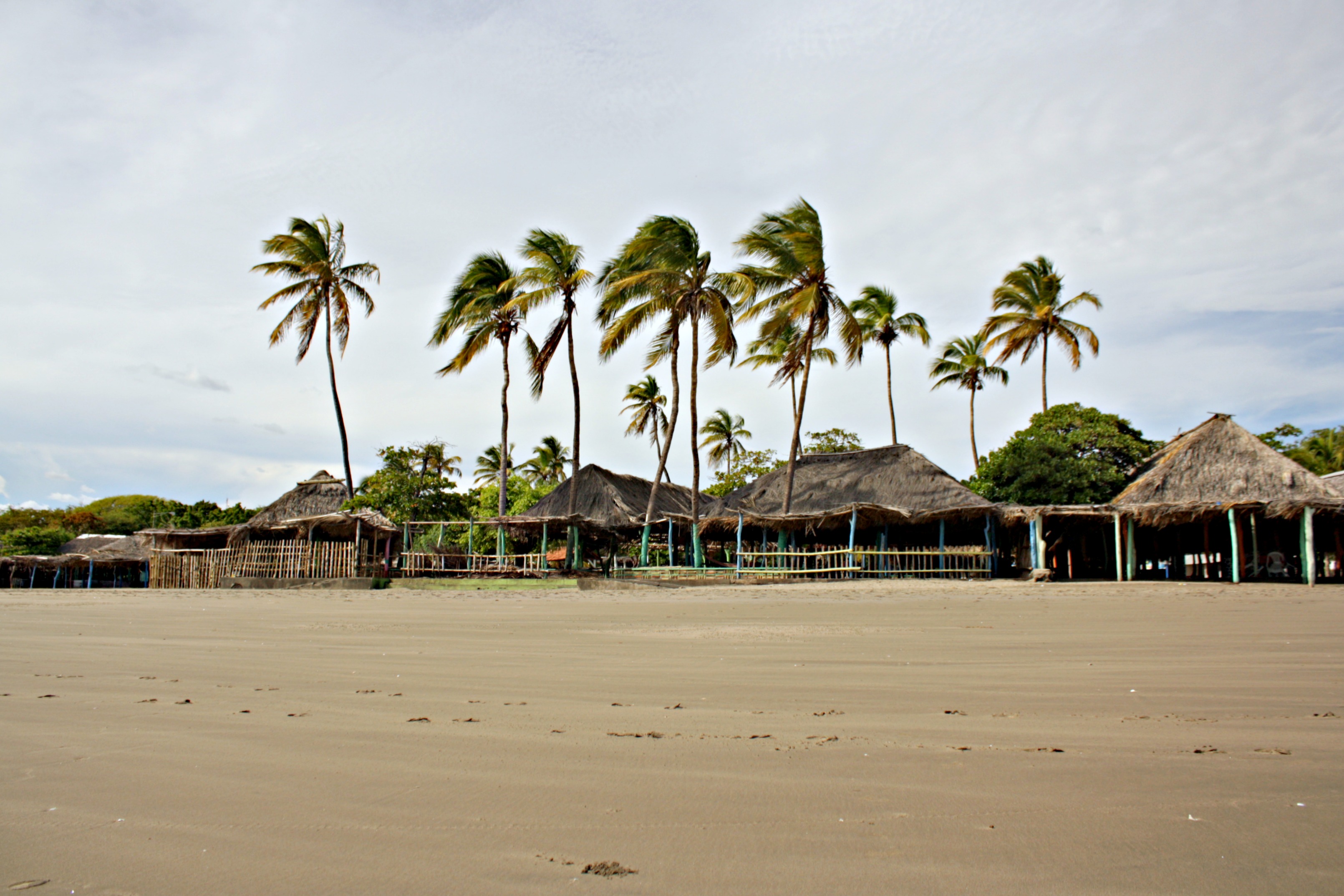 Palm trees and restaurants at Playa Pochomil