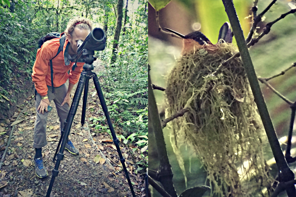 Monteverde, Costa Rica