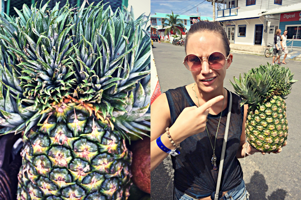 Mutant pineapple in Bocas del Toro Town