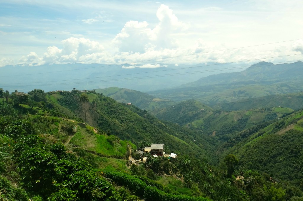 Colombian Andes