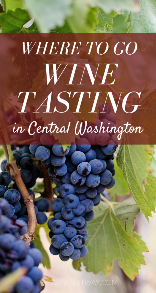 Wine Tasting in Central Washington with Blue Sky Outfitters