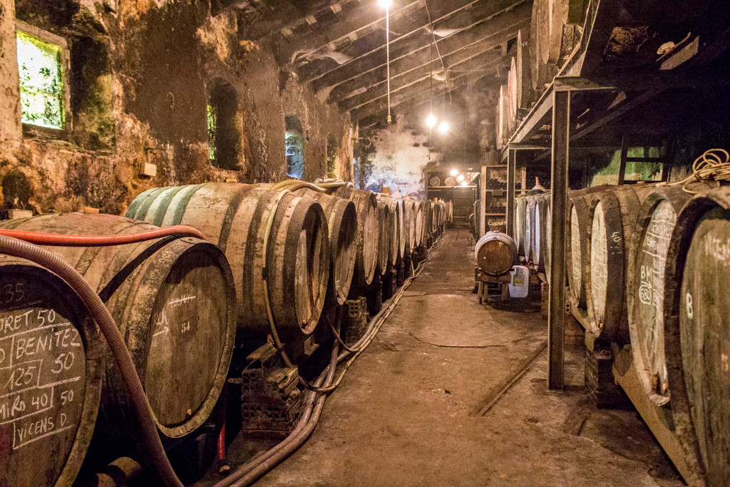 Oak barrels at Mas Molla Winery, Calonge, Catalonia