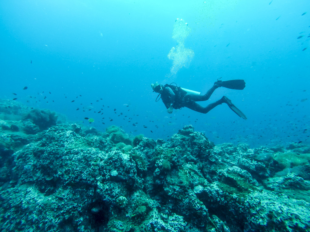 Travel Photos with a GoPro, Diving in Koh Tao