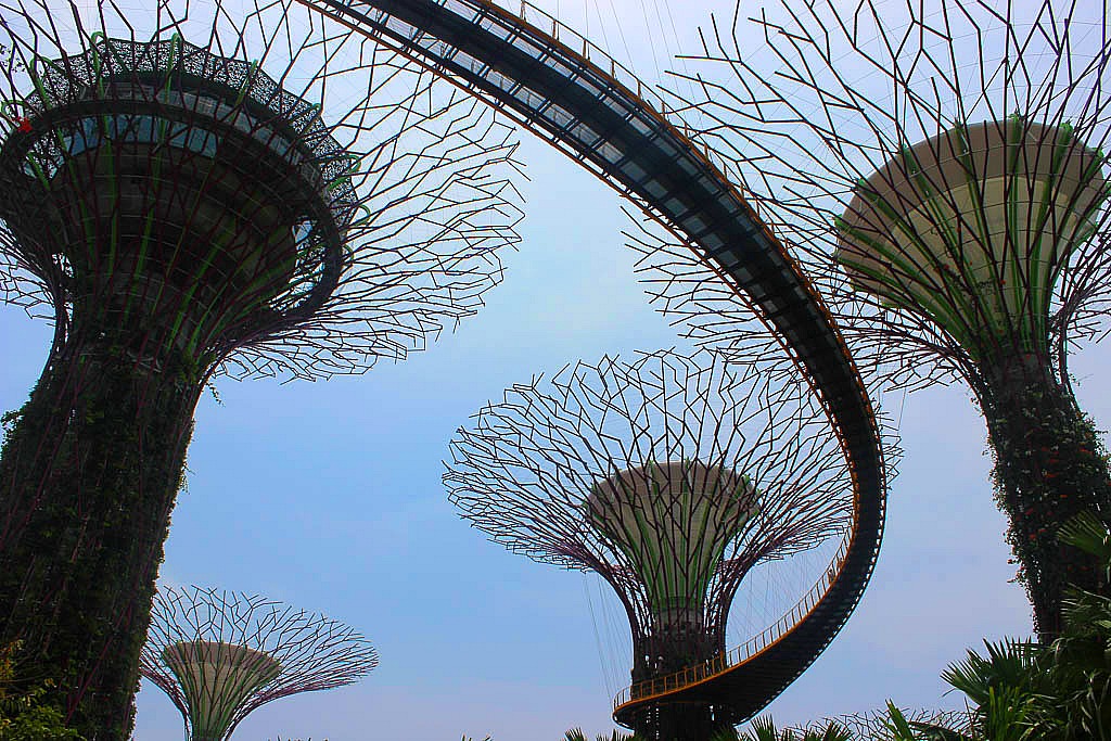 5 Things to Know Before Traveling to Singapore
