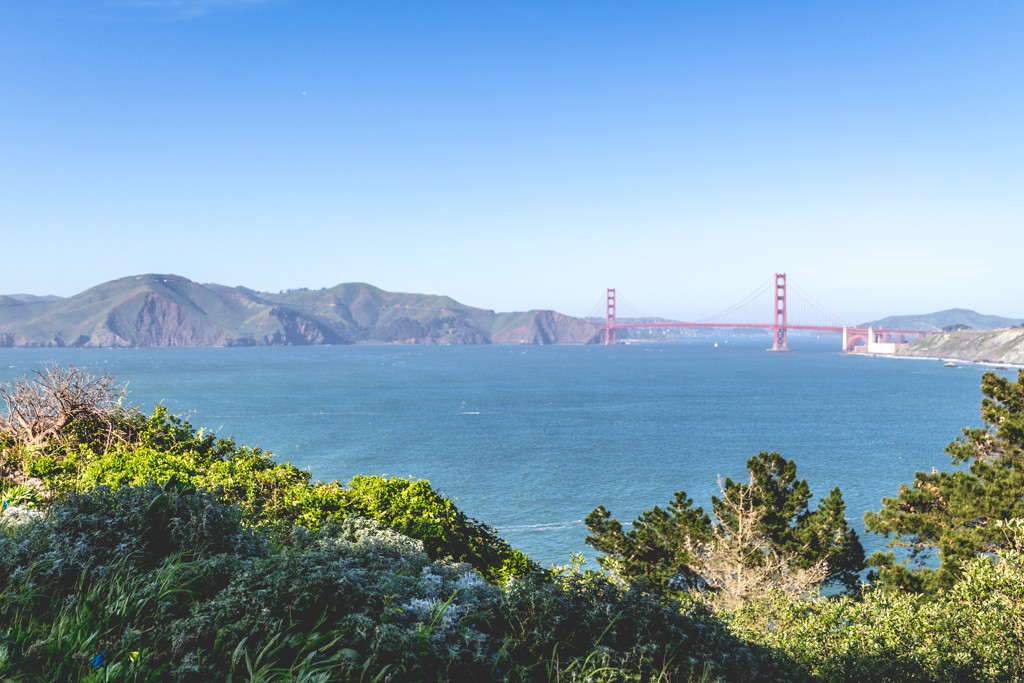 Finding Nature in San Francisco: Lands End