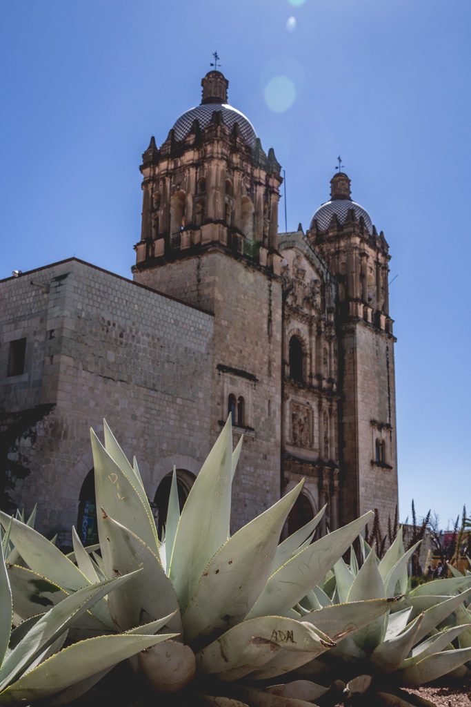 Why I chose to spend two months living in Oaxaca, Mexico
