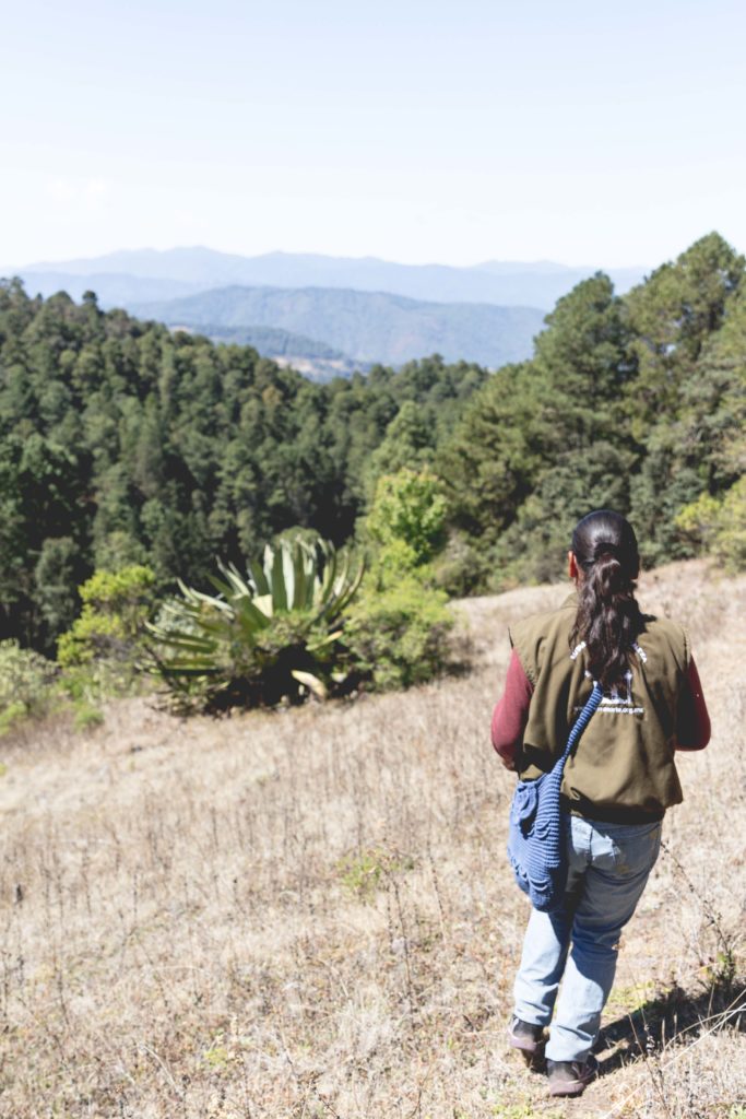 Los Pueblos Mancomunados: Hiking in Mexico