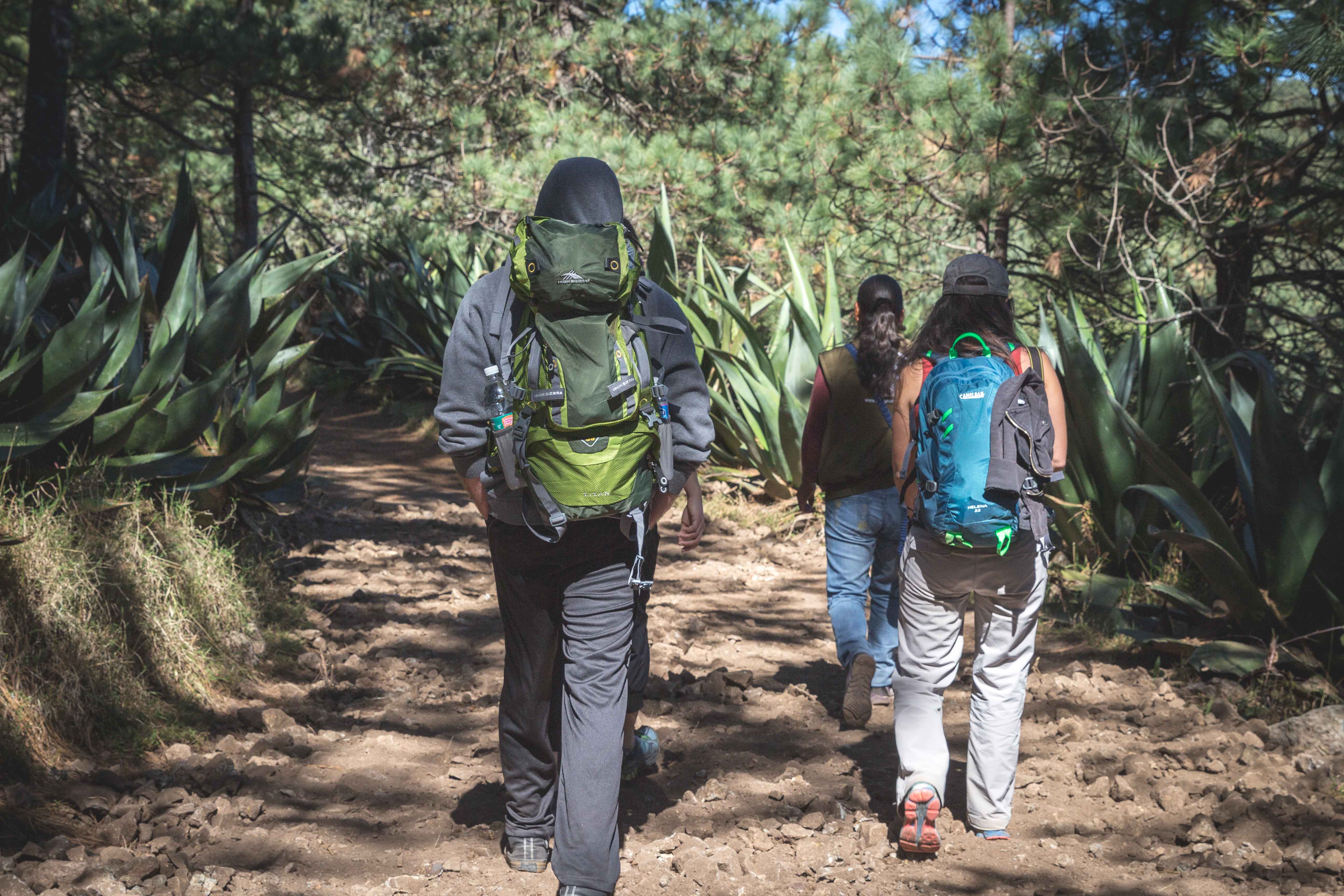 Los Pueblos Mancomunados: Hiking in Mexico