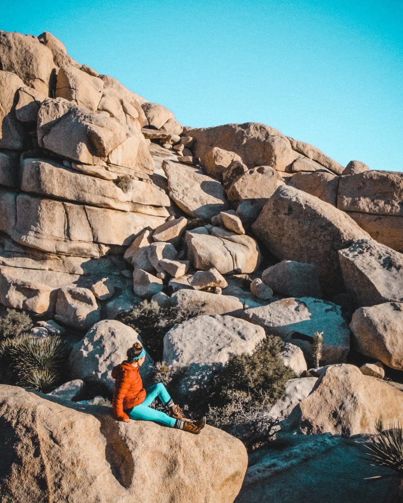 Warming up in the morning sun at Joshua Tree National Park